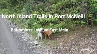 North Island Trails- Bottomless Lake on East Main