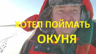 Хотел поймать окуня, а поймал