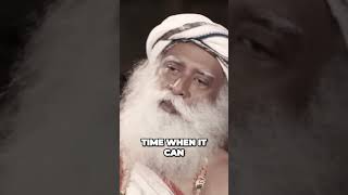 Unlock Your Potential and Soar into a Thriving Life Journey  #sadhguru  #sadhguruquotes  #age