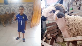 أجواء العيد الأضحى مع 💓العائلة👩‍🍳🐏