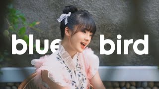 Blue Bird (Naruto Shippuden) - Nadine Abigail Acoustic Cover