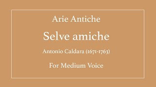 Selve amiche - Caldara - Medium