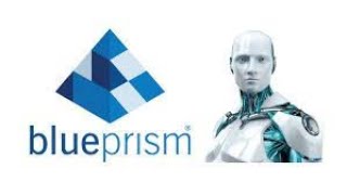 Blue Prism: RPA foundation course Sections 3-4 Introduction to Process Flow, and input and outputs