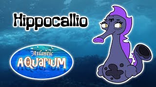 My Singing Monsters - Hippocallio (Atlantic Aquarium) (ANIMATED)