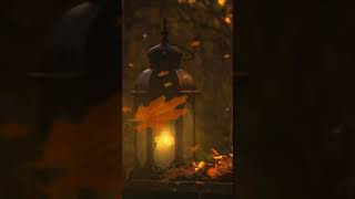 Autumn Candle #shorts   1 min of cozy asmr ambience