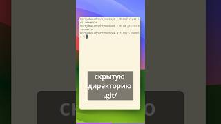 Что такое инициализация репозитория? Первые шаги к РАЗРАБОТКЕ с гитом..