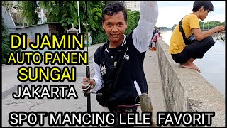 SPOT MANCING LELE ‼️FAVORIT DI SUNGAI JAKARTA