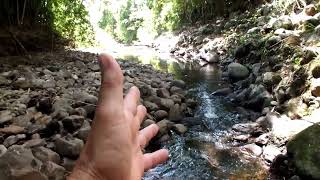 Natureza, que relação você tem com ela, você consegue chegar à natureza viva