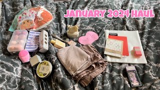 January 2024 HAUL (cute stuff)