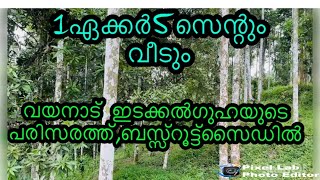 1ഏക്കർ5സെന്റുംവീടും വയനാട്ഇടക്കൽ ഗുഹയുടെ പരിസരം #low price land fore sale with house in wayanad