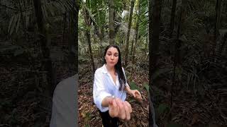 COMI LARVA NA FLORESTA AMAZÔNICA! VOCÊ TERIA CORAGEM? #mundodosviajantes