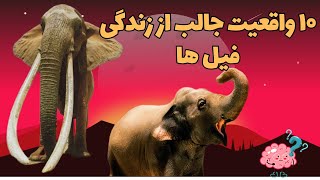 فیل : نمادی از قدرت ،حکمرانی و هوشمندی