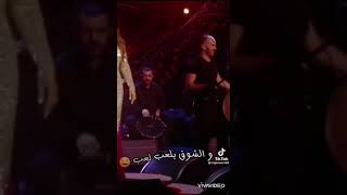 نجوى كرم ملعون ابو العشق