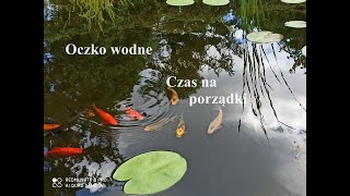 OCZKO WODNE, Filtr do Oczka Wodnego, Krystalicznie Czysta Woda, Strefa Bagienna