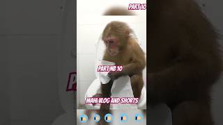 बिल्ली ने देखा (part 10) 😁 😂 #funny #comedy #shorts #monkeycomedyvideo #mrbeast #monkey #anaya