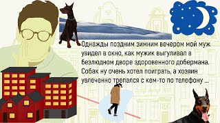 🏠Дед Собирается В Магазин...Сборник Новых Весёлых И Смешных Историй О Братьях наших Меньших!