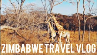 ZIMBABWE TRAVEL VLOG