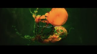 scarless arms - to my own vitreous fragility (official video) (video by Haze)