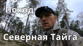 Поход в избу,ловля рыбы на гайку,выводок глухарят на фотоловушку