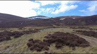 Mount Keen from Deeside, Aberdeenshire