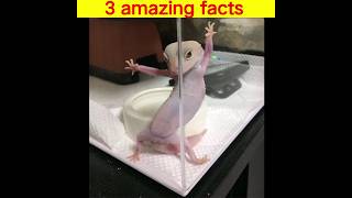 3 amazing fact about animals😱🔥#shorts #trending #facts #ytshorts