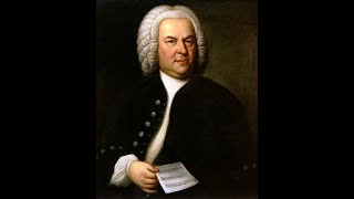 J.S. Bach - Cantata "Mein Herze schwimmt im Blut", BWV 199 - Soprano, Trumpet and Organ - at 432 Hz.