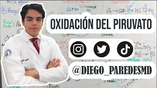 Fase de Transición / Oxidación del Piruvato - BIOQUÍMICA