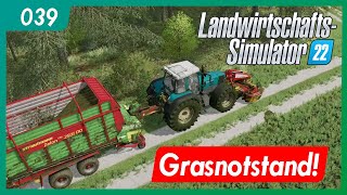 LS22 | 039 - Ellerbach | Grasnotstand | gameplay german deutsch