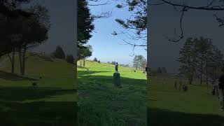 NorCal Regional 12th Tee Par 3 200yd Berkeley CC 20240520