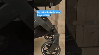 My CAT Loves the baby vehicle 🚙 💙💪🏼