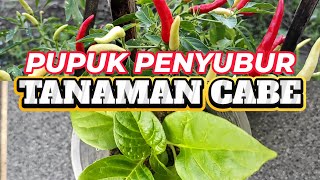 Pupuk penyubur tanaman cabe harga ekonomis (1.4)