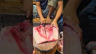 Amazing Rohu Fish Cutting Skills In Bangladesh Fish Market By Expert Cutter #shorts