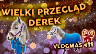 BĘDZIEMY DERKOWAĆ KONIE!? VLOGMAS #11