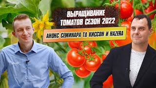 Выращивание томатов в Демо Теплицах Киссон сезон 2022. Анонс совместного семинара ТД Киссон и Hazera