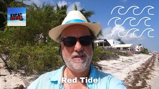 Red Tide (Marea Roja) in Yucatán México