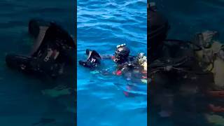 Secuences257 #video #sorts #big #blue #Dive Time #🦈🔱