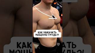 🔥КАК НАКАЧАТЬ МОЩНУЮ ГРУДЬ?! #спорт #фитнес