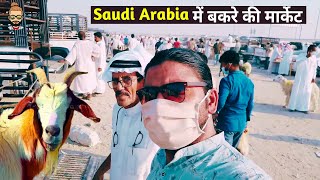 Bakre Ki Mandi | Saudi Me Bakra Mandi | Bakra Mandi Dammam | Bakre Ki Market | Saudi Arabia | Vlog