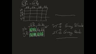 genetics problem set answers 1 through 8