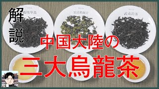 【ざっくり解説】中国の烏龍茶は大まかに分けると３タイプ