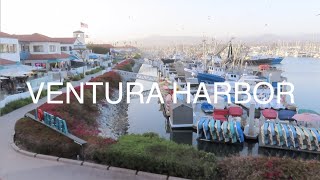 VENTURA HARBOR 2021