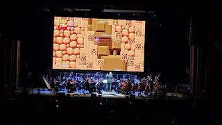 Sonic Symphony Orchestra Opening Sonic melody NEW YORK 6/8/24