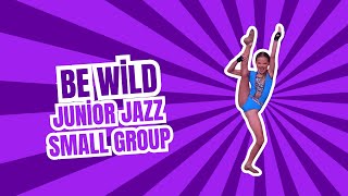 Be Wild | South County Dance Company | 2024 Countdown Nationals | Junior Small Jazz