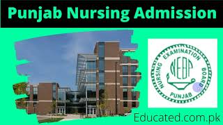 Punjab Nursing Admission 2022  Bs Nursing Admission 2021-22