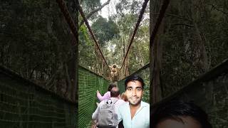 Monkey ne daraya ek father aur daughter ko🐒 #fun #funny #adventure #climbing #zoo #trending #vlog