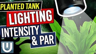 Light Intensity and PAR in Planted Tank Lighting - Planted Aquarium Lighting Guide - Part 2