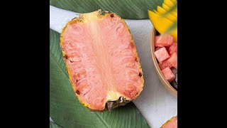 Pink Pineapple, Fresh and Mouth Watering