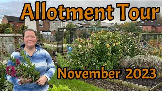 The season is ending. November 2023 allotment tour.