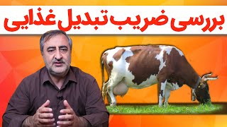 بررسی ضریب تبدیل غذایی