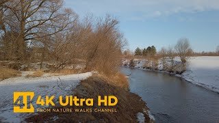 Early Spring Day on a Small River